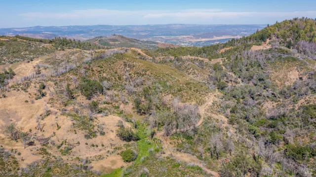 a view of a forest with mountains in the background