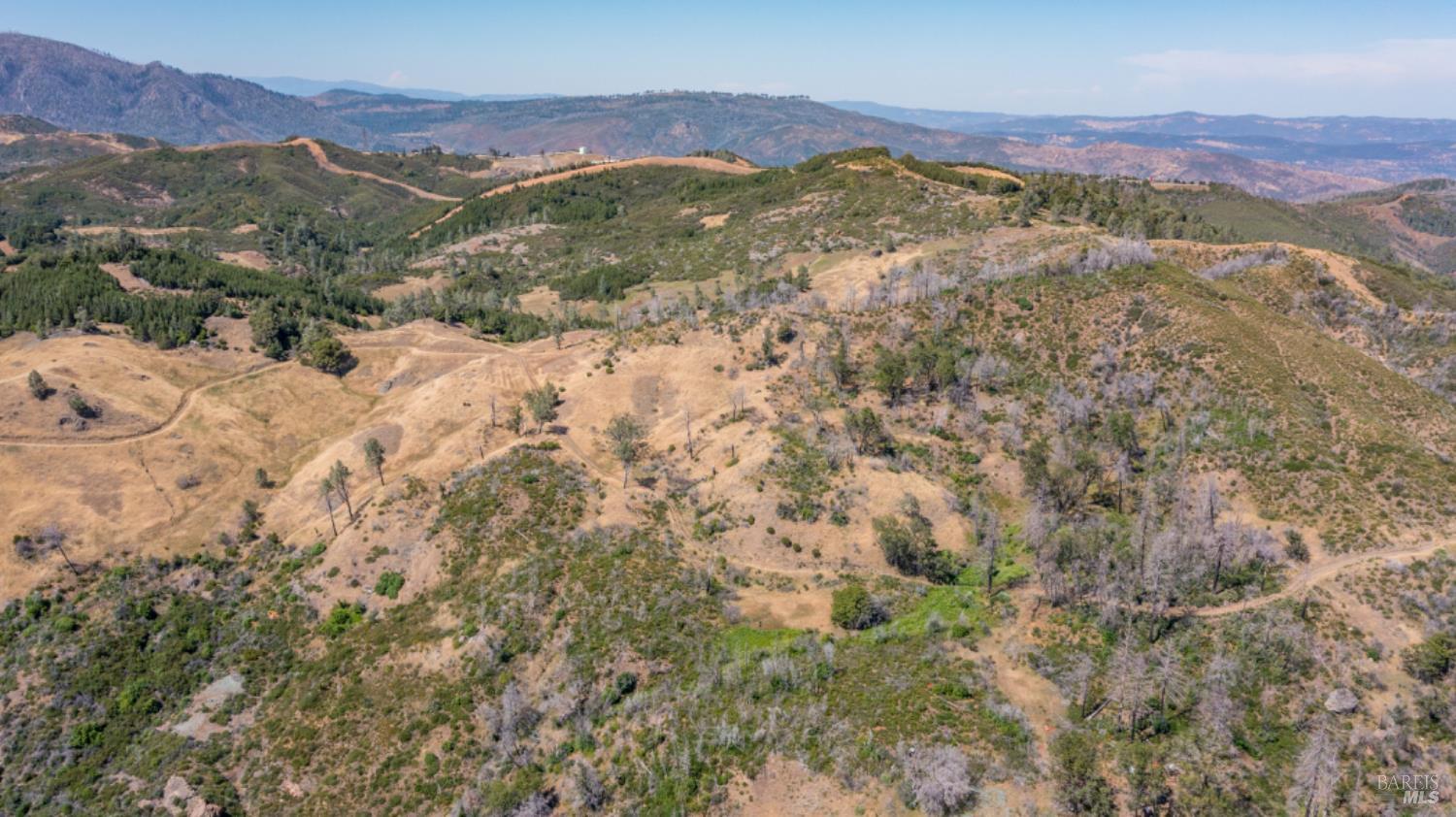 0 Pine Flat Road Calistoga, CA 94515 - Photo 21 of 59 a view of a forest with mountains in the background
