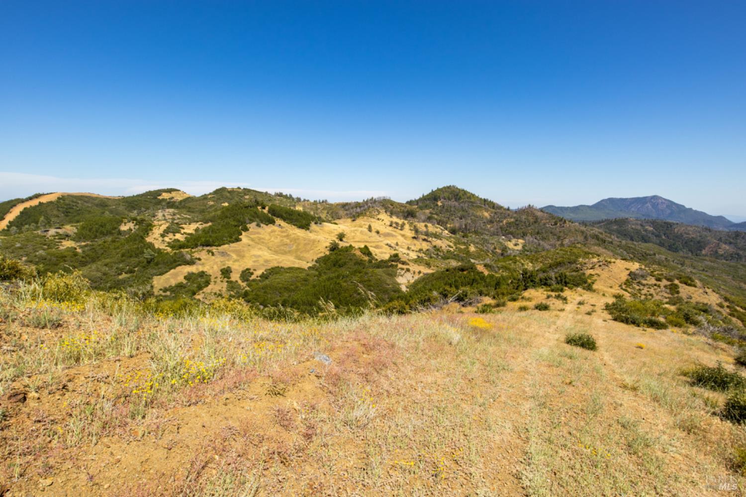 0 Pine Flat Road Calistoga, CA 94515 - Photo 24 of 59