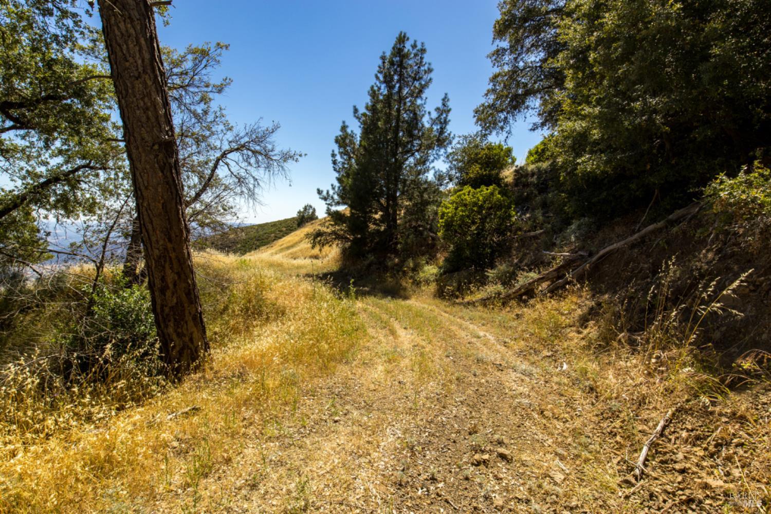 0 Pine Flat Road Calistoga, CA 94515 - Photo 27 of 59 a view of outdoor space with trees