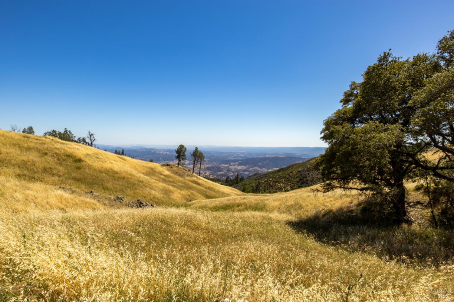 0 Pine Flat Road Calistoga, CA 94515 - Photo 28 of 59