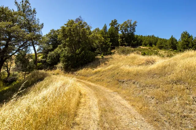 a view of a large body of water with a building in the background