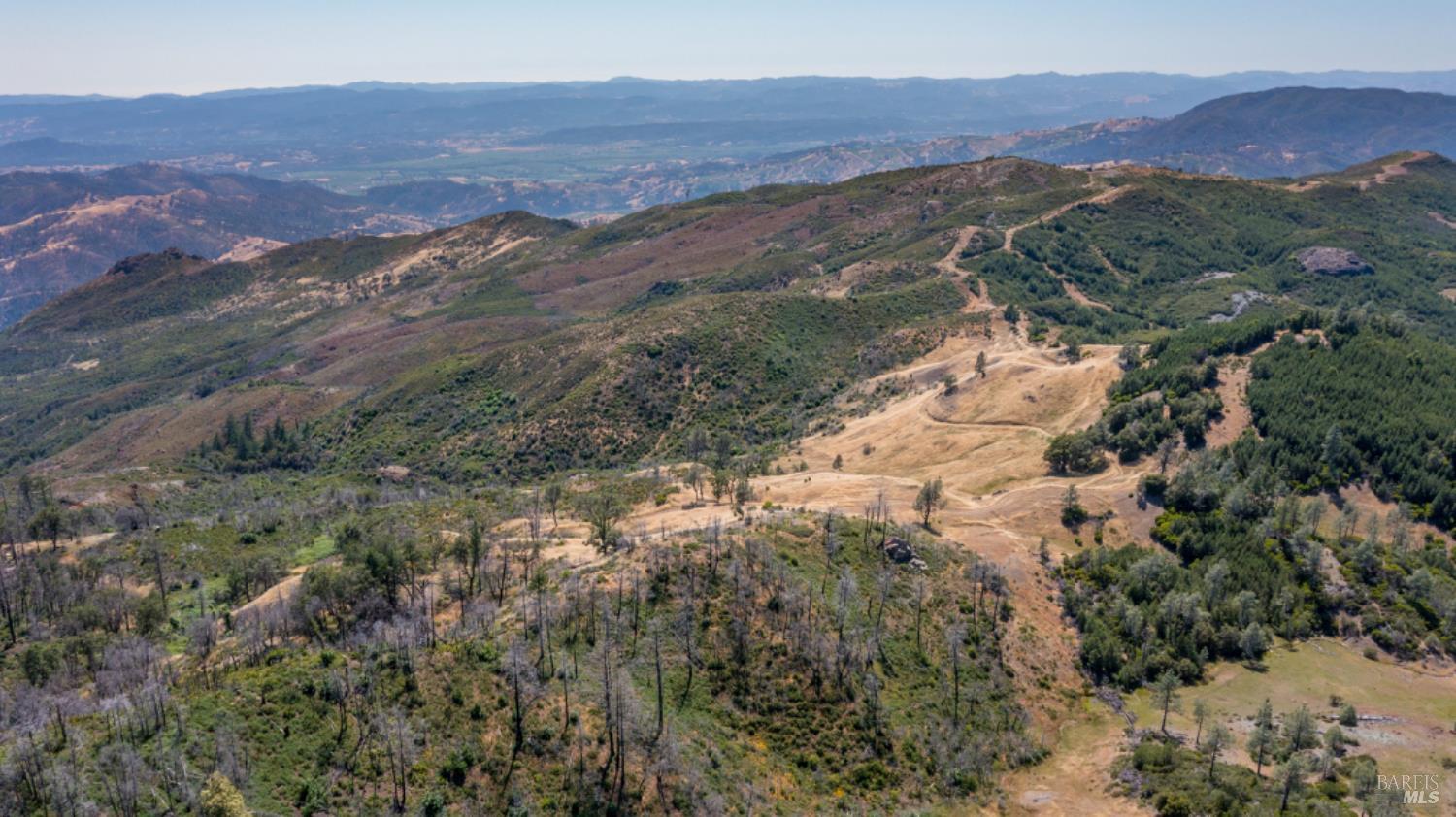 0 Pine Flat Road Calistoga, CA 94515 - Photo 3 of 59 a view of a forest with mountains in the background