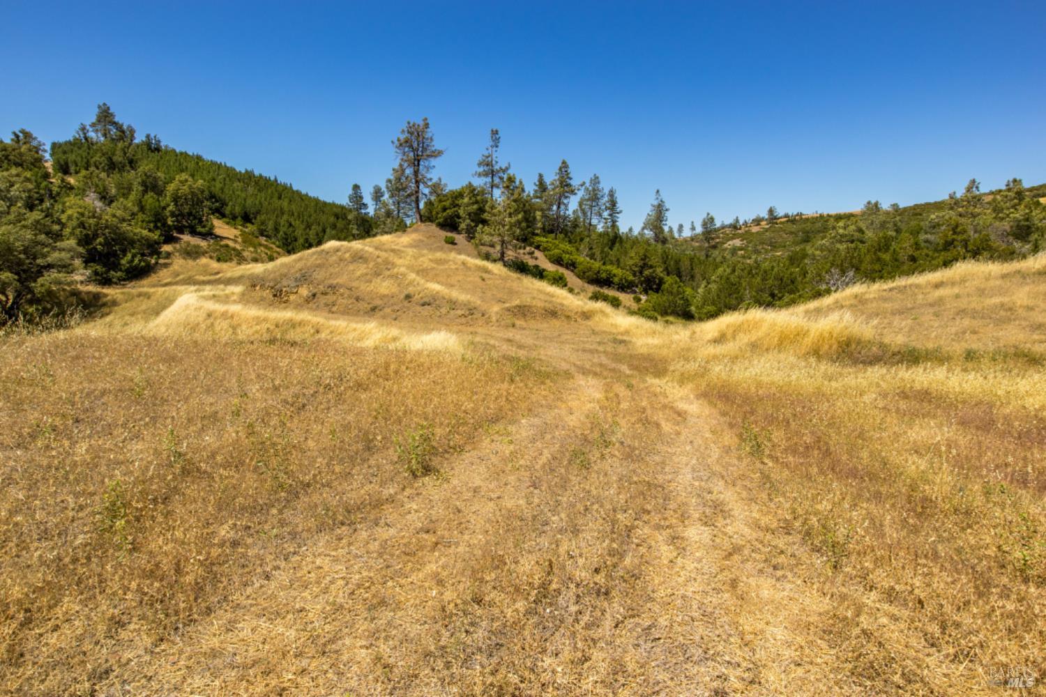 0 Pine Flat Road Calistoga, CA 94515 - Photo 31 of 59 a view of mountain view with mountains in the background