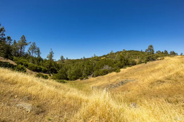 a view of backyard of a house