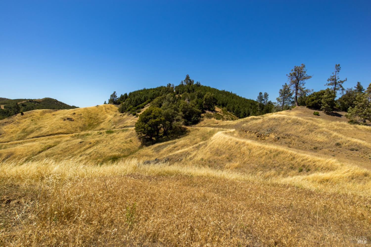 0 Pine Flat Road Calistoga, CA 94515 - Photo 35 of 59