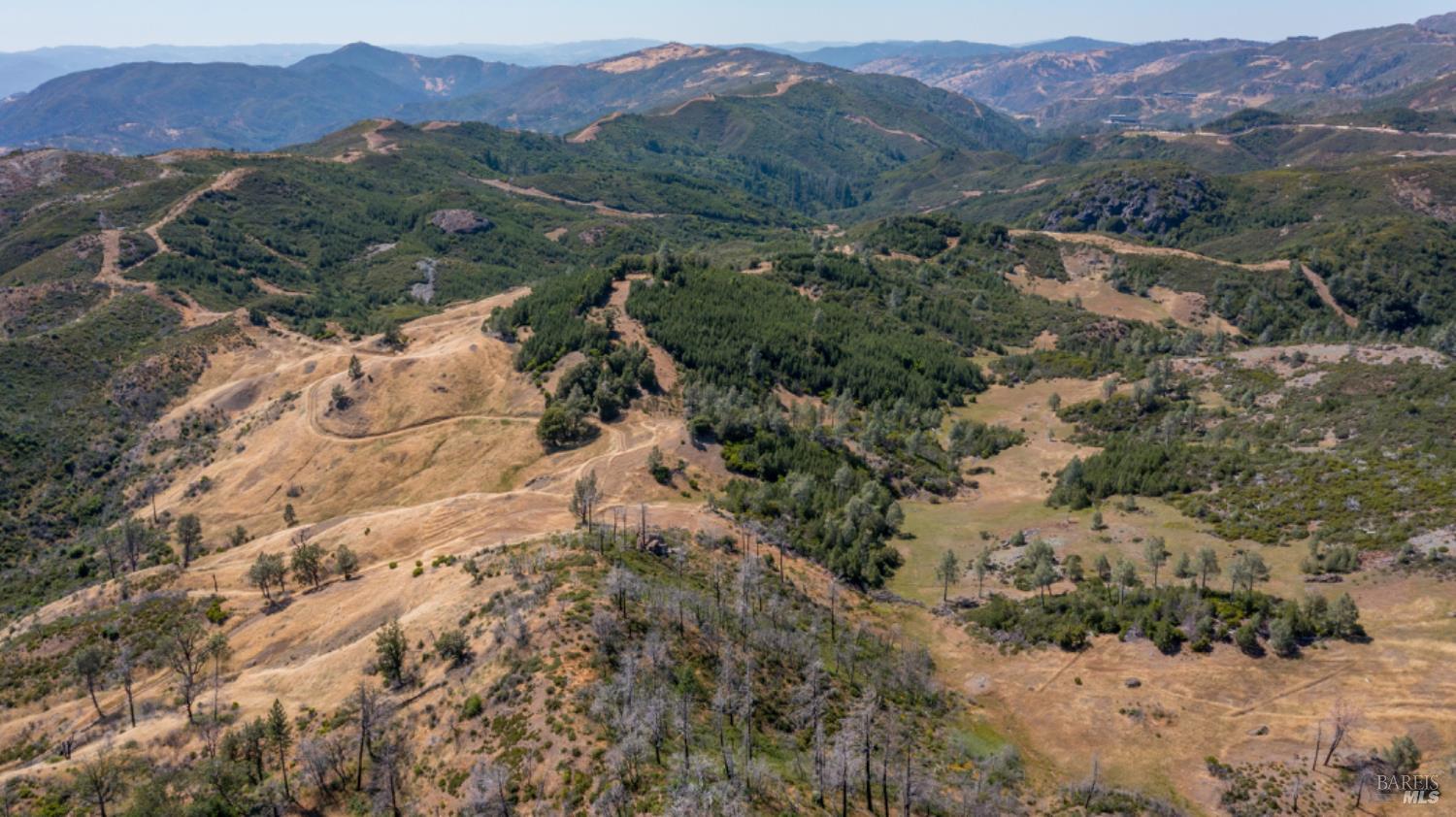 0 Pine Flat Road Calistoga, CA 94515 - Photo 4 of 59 a view of a forest with mountains in the background