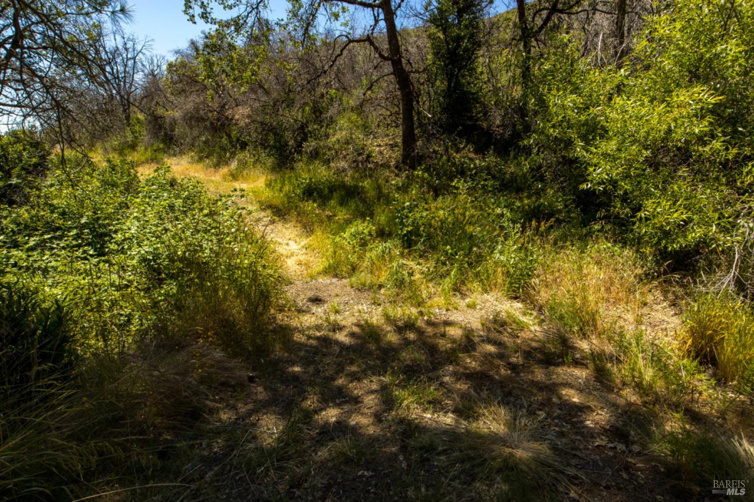 0 Pine Flat Road Calistoga, CA 94515 - Photo 41 of 59 a view of a yard