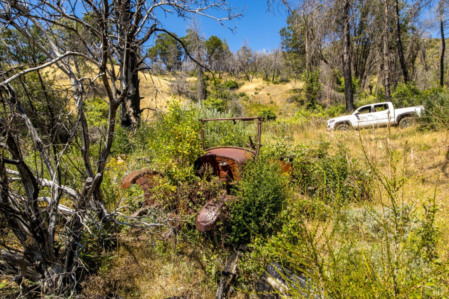 0 Pine Flat Road Calistoga, CA 94515 - Photo 42 of 59 a view of a yard with plants and large trees