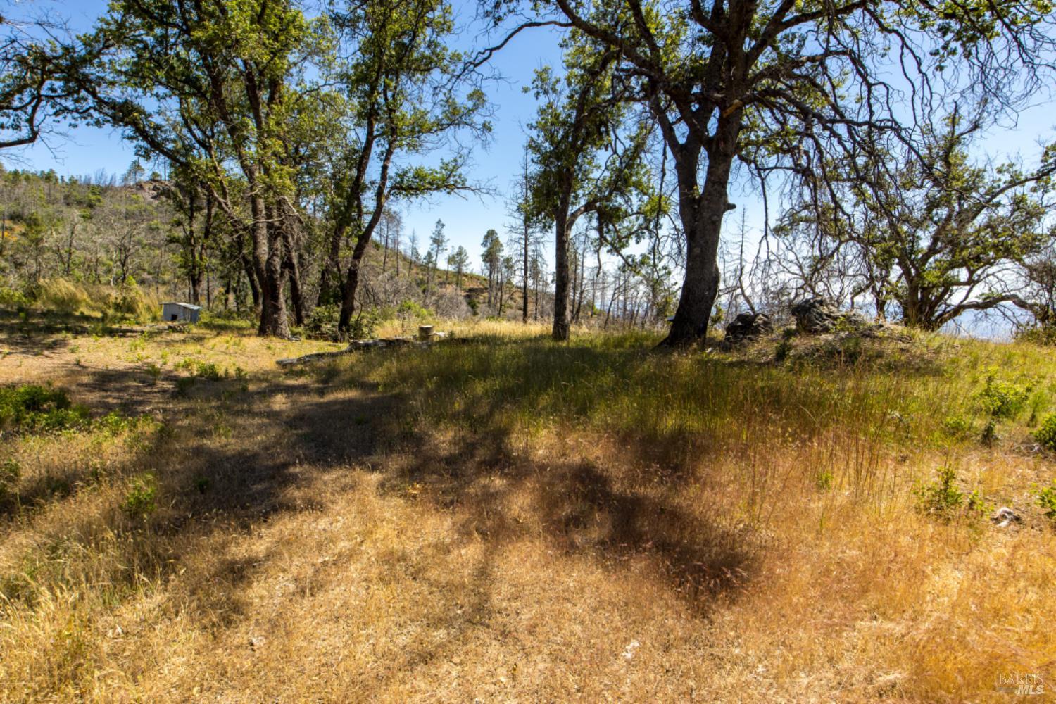 0 Pine Flat Road Calistoga, CA 94515 - Photo 44 of 59 a view of a yard with a tree