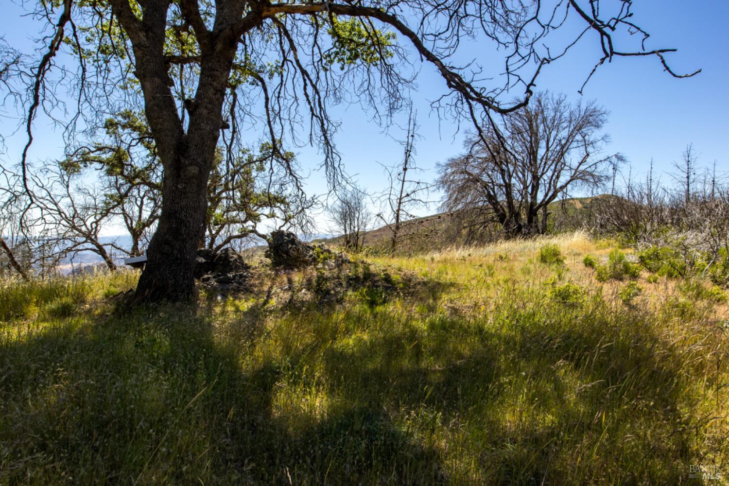 0 Pine Flat Road Calistoga, CA 94515 - Photo 45 of 59 a view of a yard