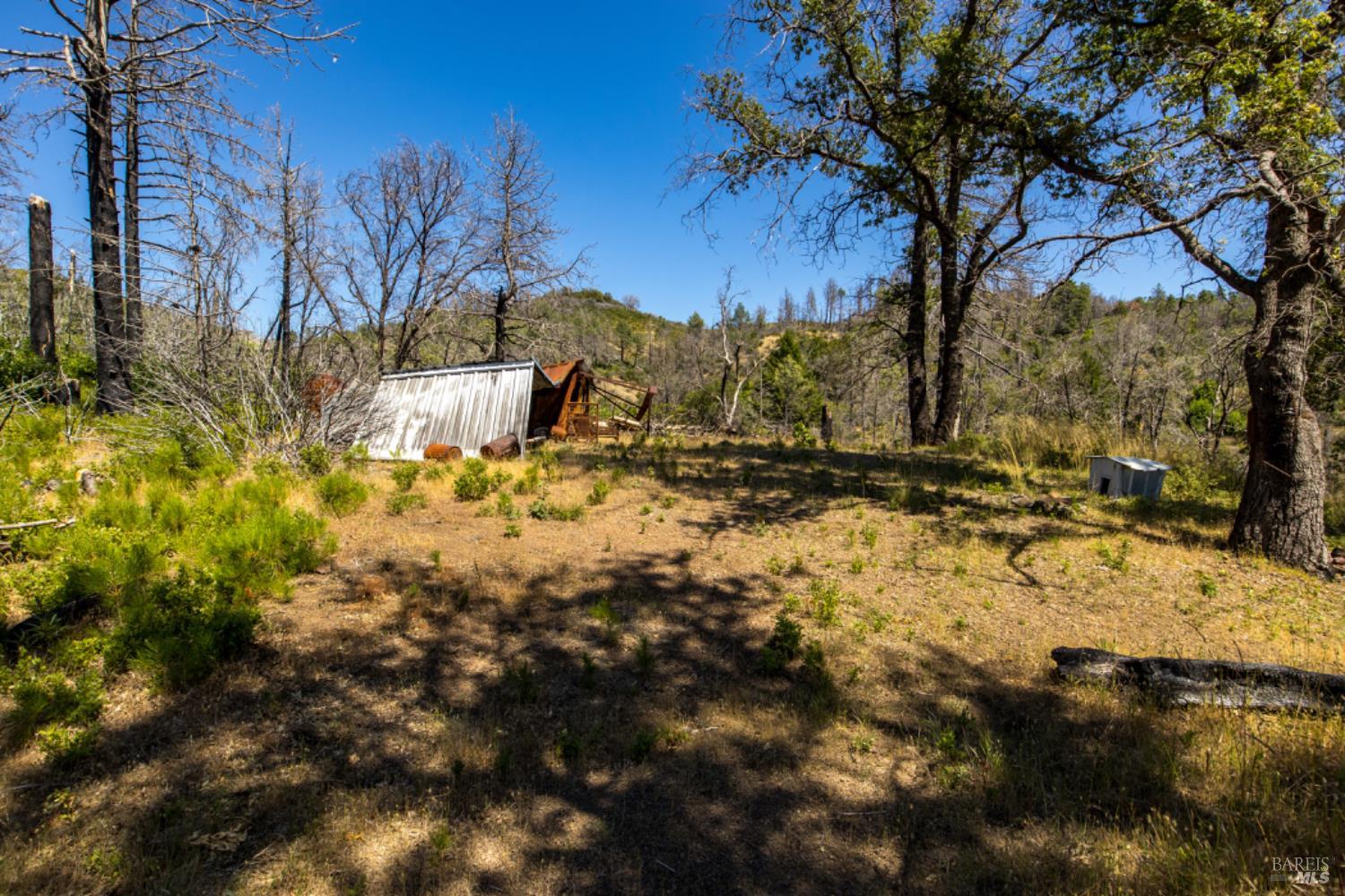 0 Pine Flat Road Calistoga, CA 94515 - Photo 48 of 59 a view of a yard with trees