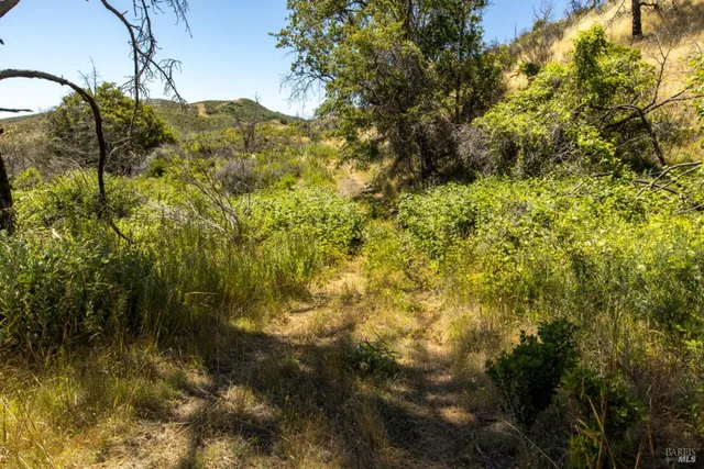 an aerial view of street and trees
