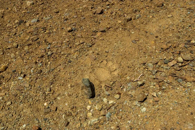 $799,000 | 0 Pine Flat Road, Calistoga, CA 94515