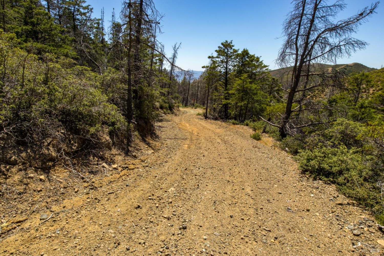 0 Pine Flat Road Calistoga, CA 94515 - Photo 56 of 59 a view of a yard with trees