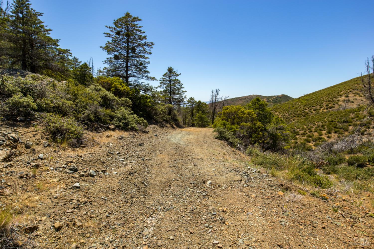 0 Pine Flat Road Calistoga, CA 94515 - Photo 57 of 59 a view of a dry yard with mountains in the background
