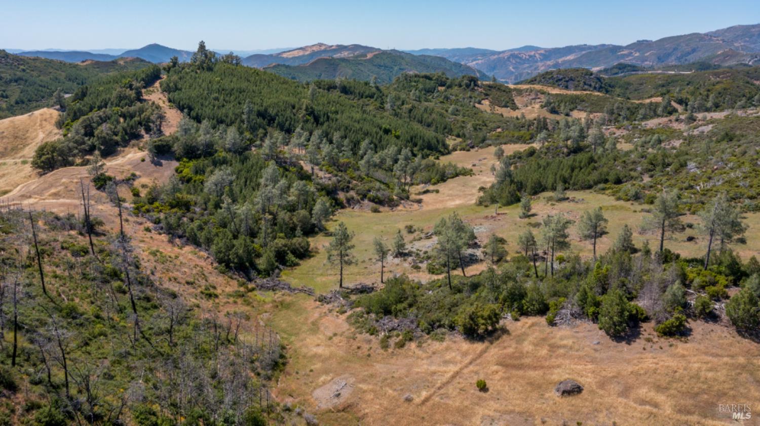 0 Pine Flat Road Calistoga, CA 94515 - Photo 6 of 59 a view of a forest with a forest