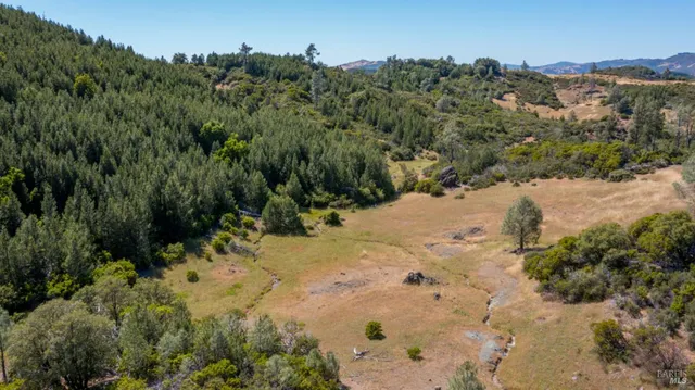 a view of a covered with trees