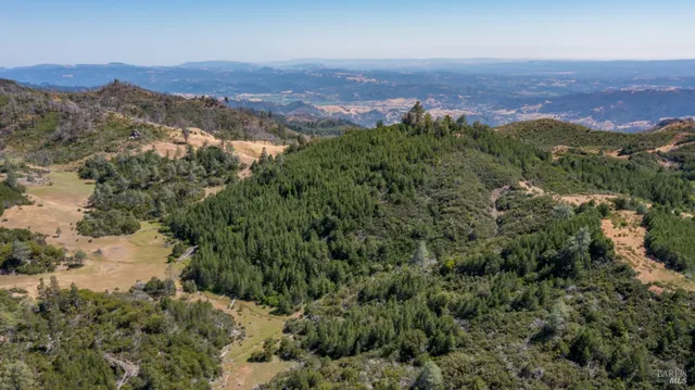 an aerial view of mountain and tree
