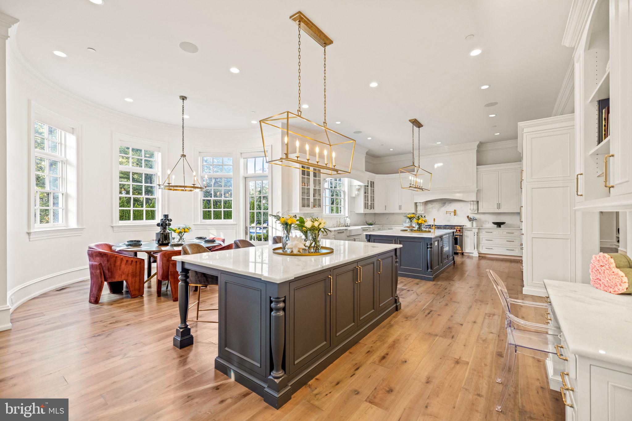 9819 Newhall Road Potomac, MD 20854 - Photo 9 of 60 Stunning Kitchen