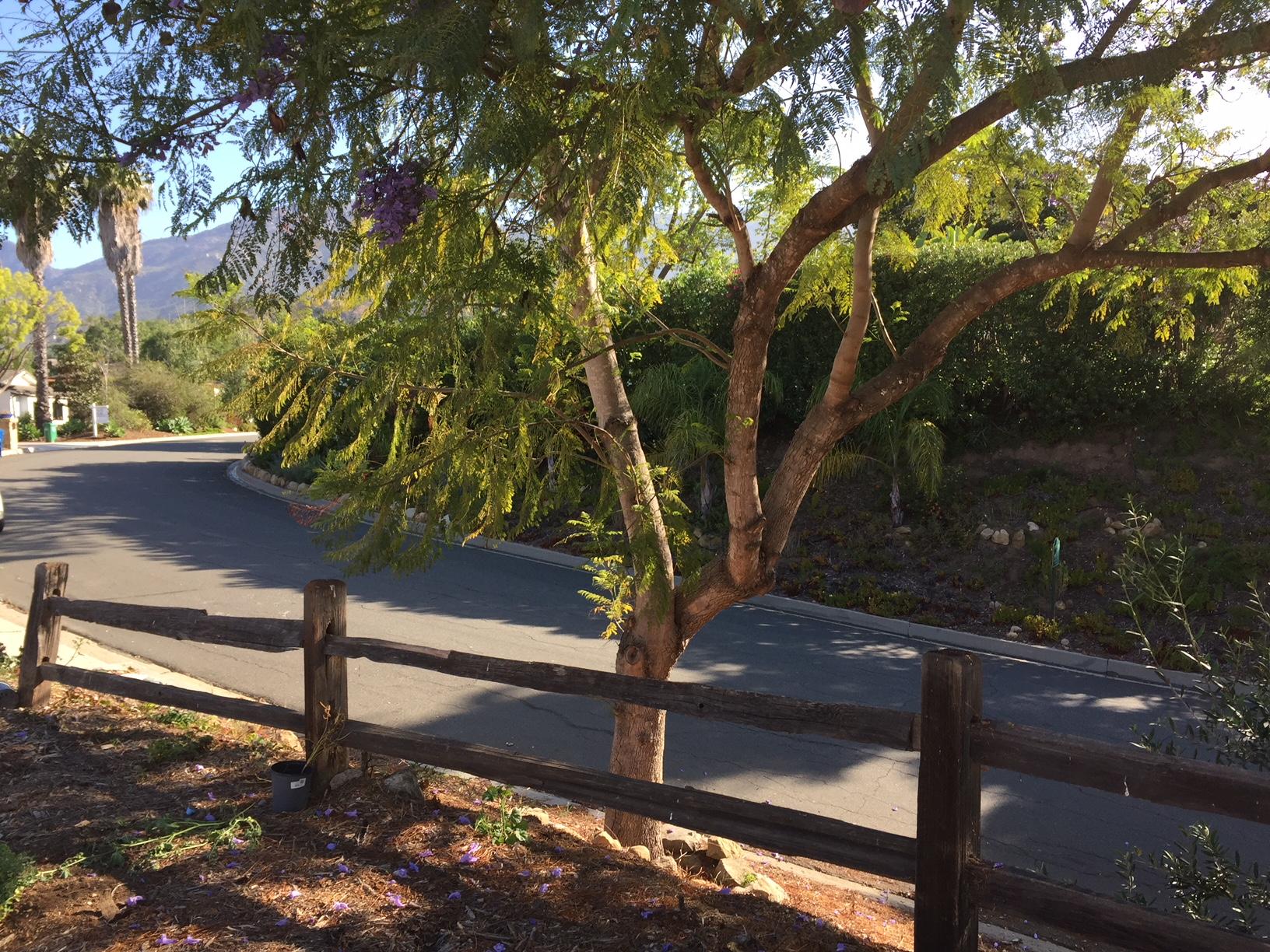25 Northridge Road Santa Barbara, CA 93105 - Photo 7 of 17 NORTHRIDGERDINFRONT