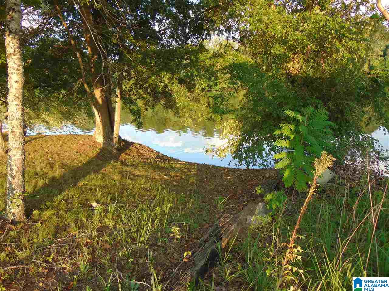 761 County Rd Centre Cedar Bluff, AL 35959 - Photo 10 of 24