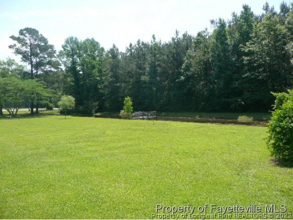 1376 Martin Gourd Road Clarkton, NC 28433 - Photo 7 of 18 Gallery Image 7