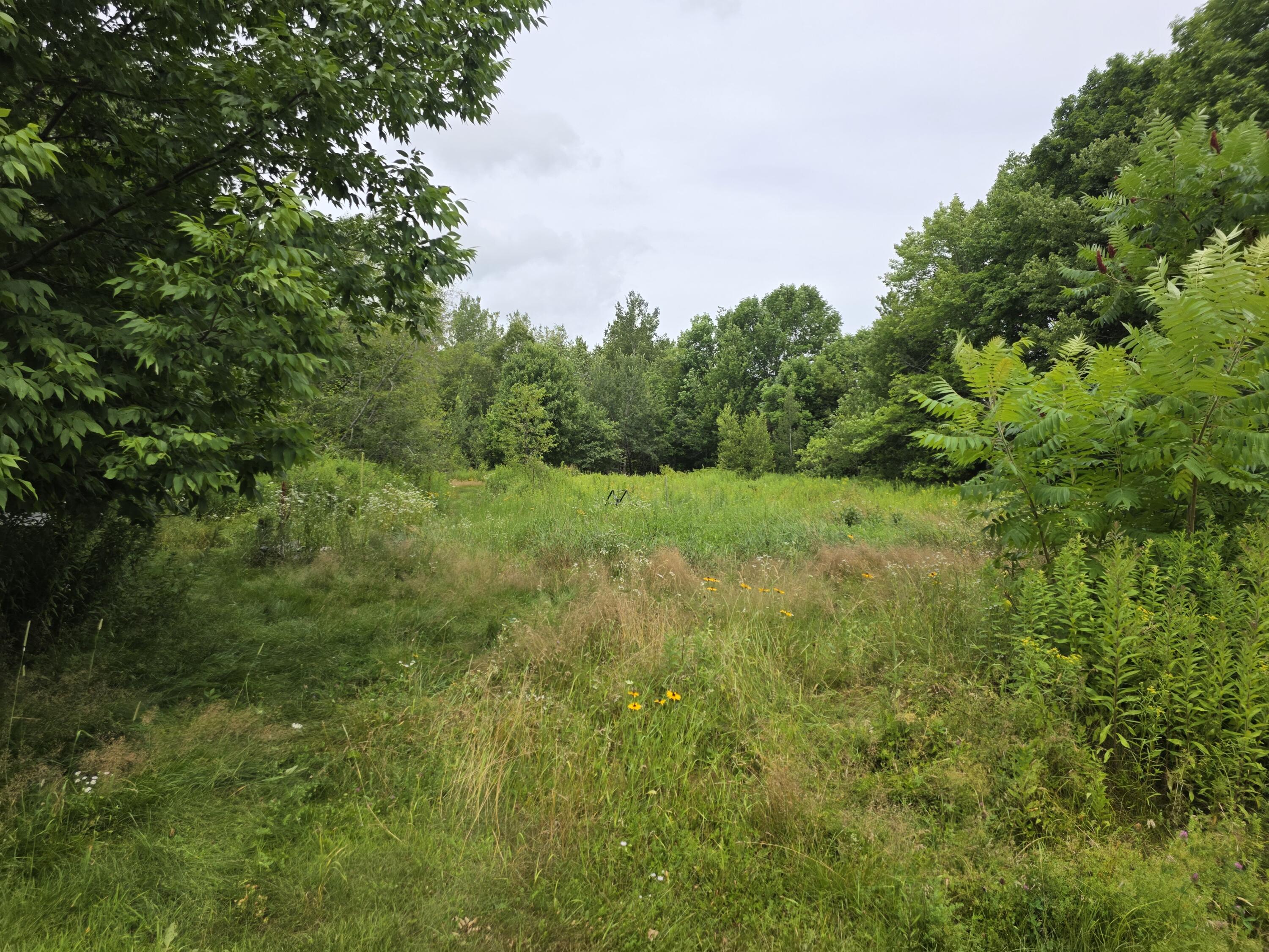 75 Nelson Ridge Road South Washington, ME 04574 - Photo 16 of 32 20260721_124352