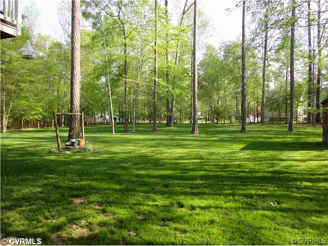 6310 Glebe Point Road Chesterfield, VA 23838 - Photo 12 of 12 a view of a park with large trees