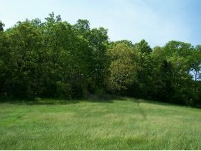 Tbd Hog Eye Road Limestone, TN 37681 - Photo 2 of 7 Photo 2