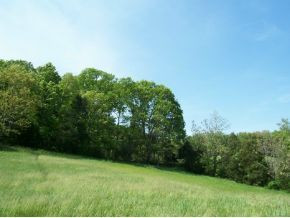 Tbd Hog Eye Road Limestone, TN 37681 - Photo 3 of 7 Photo 3