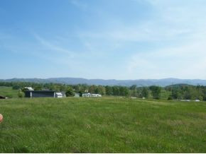 Tbd Hog Eye Road Limestone, TN 37681 - Photo 5 of 7 Photo 5