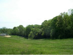 Tbd Hog Eye Road Limestone, TN 37681 - Photo 6 of 7 Photo 6