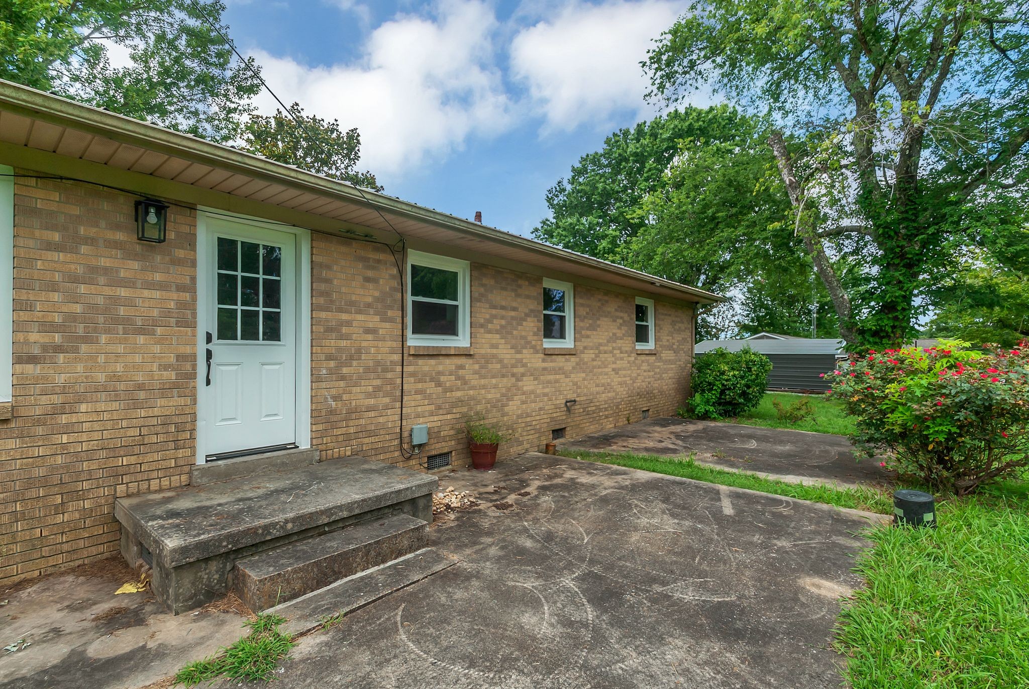 107 Horseshoe Bend Road Leoma, TN 38468 - Photo 31 of 35 a view of a backyard with plants and large tree
