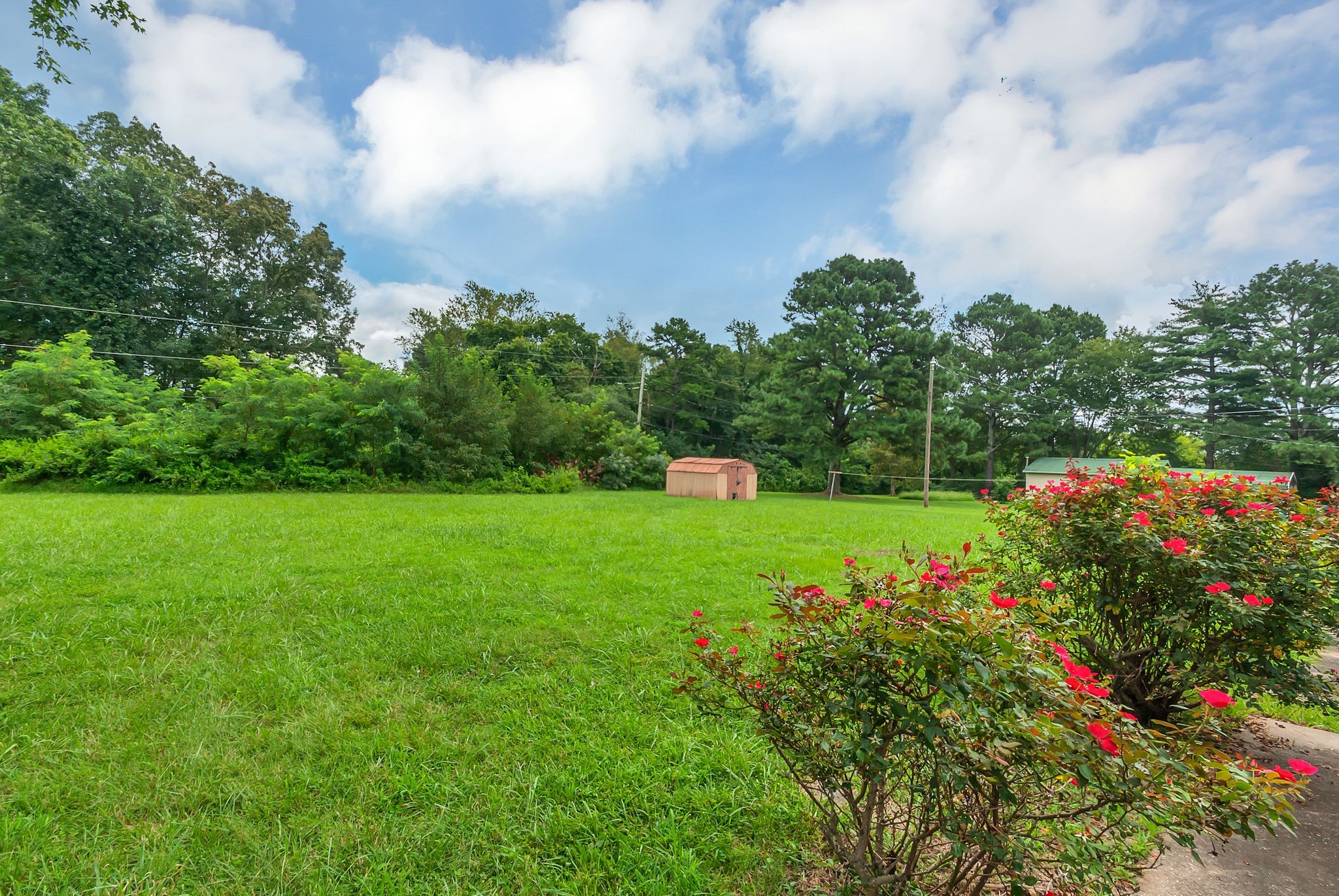 107 Horseshoe Bend Road Leoma, TN 38468 - Photo 32 of 35 a view of flower garden with wooden fence