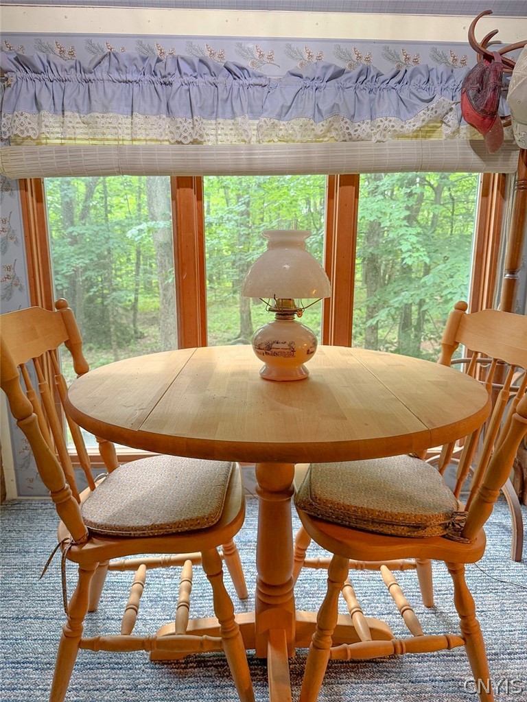 3147 Potter Road Osceola, NY 13437 - Photo 24 of 48