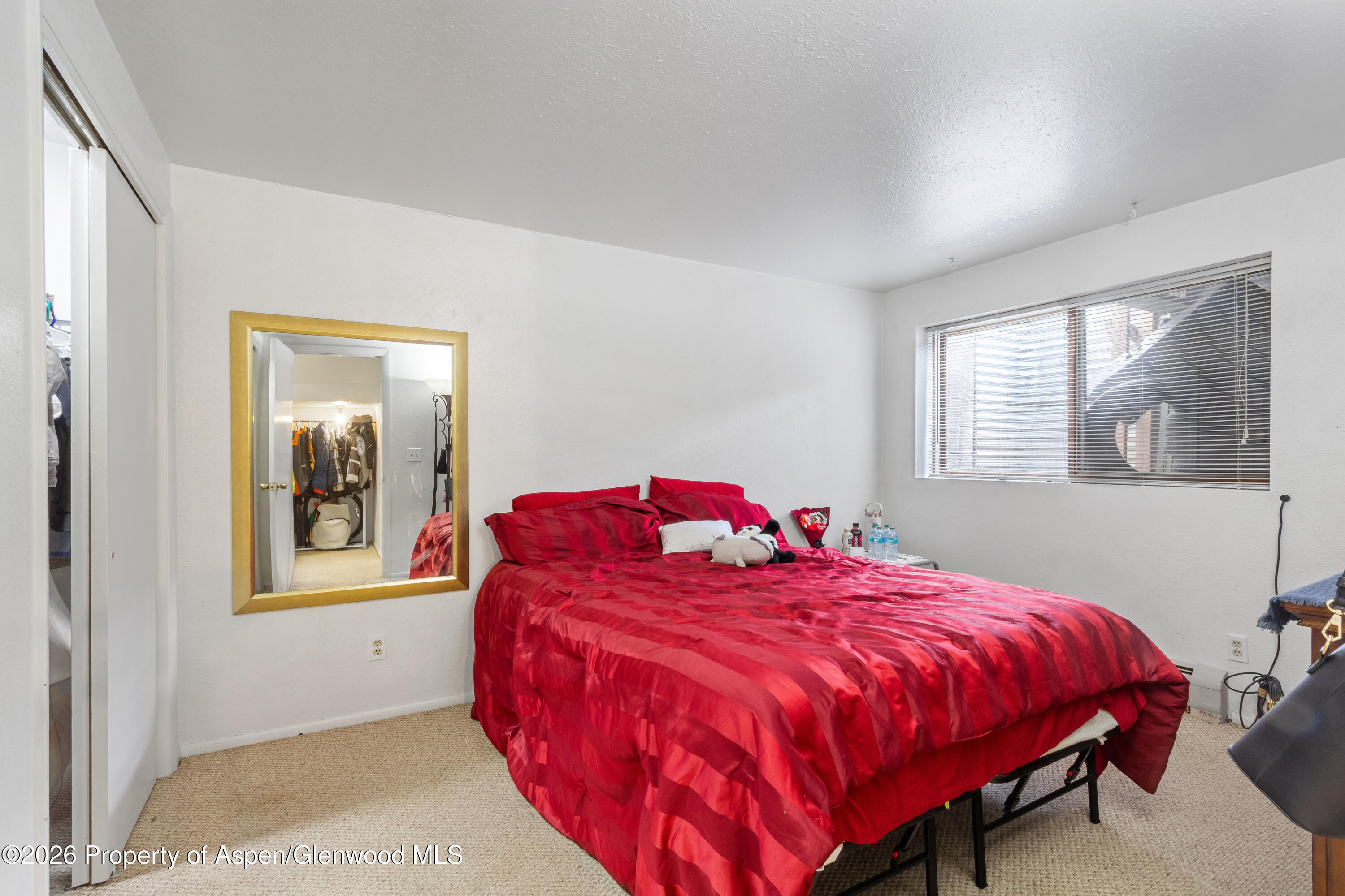 1165 Park Avenue Rifle, CO 81650 - Photo 12 of 22 IMG_3963