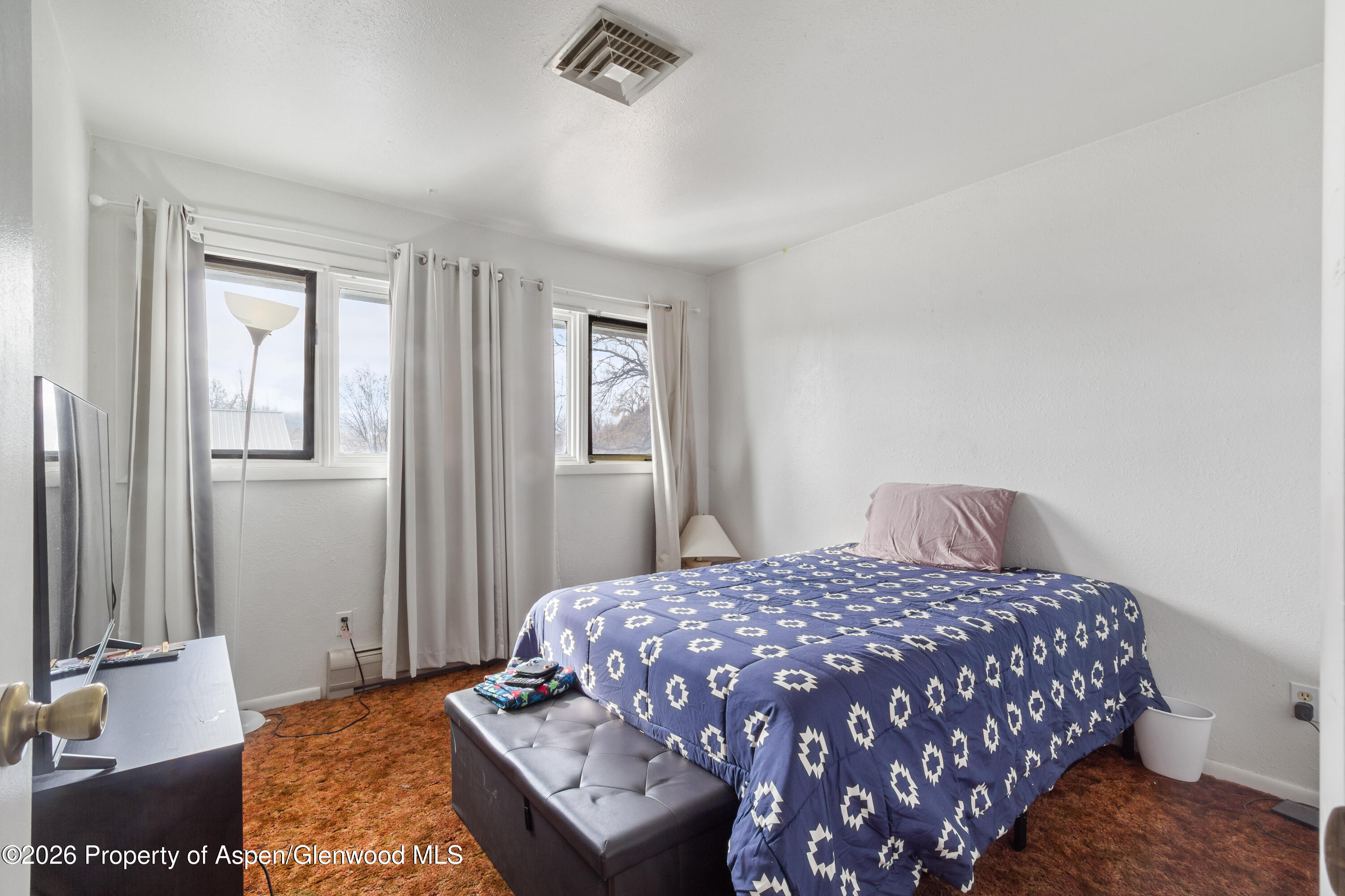 1165 Park Avenue Rifle, CO 81650 - Photo 7 of 22 IMG_3972