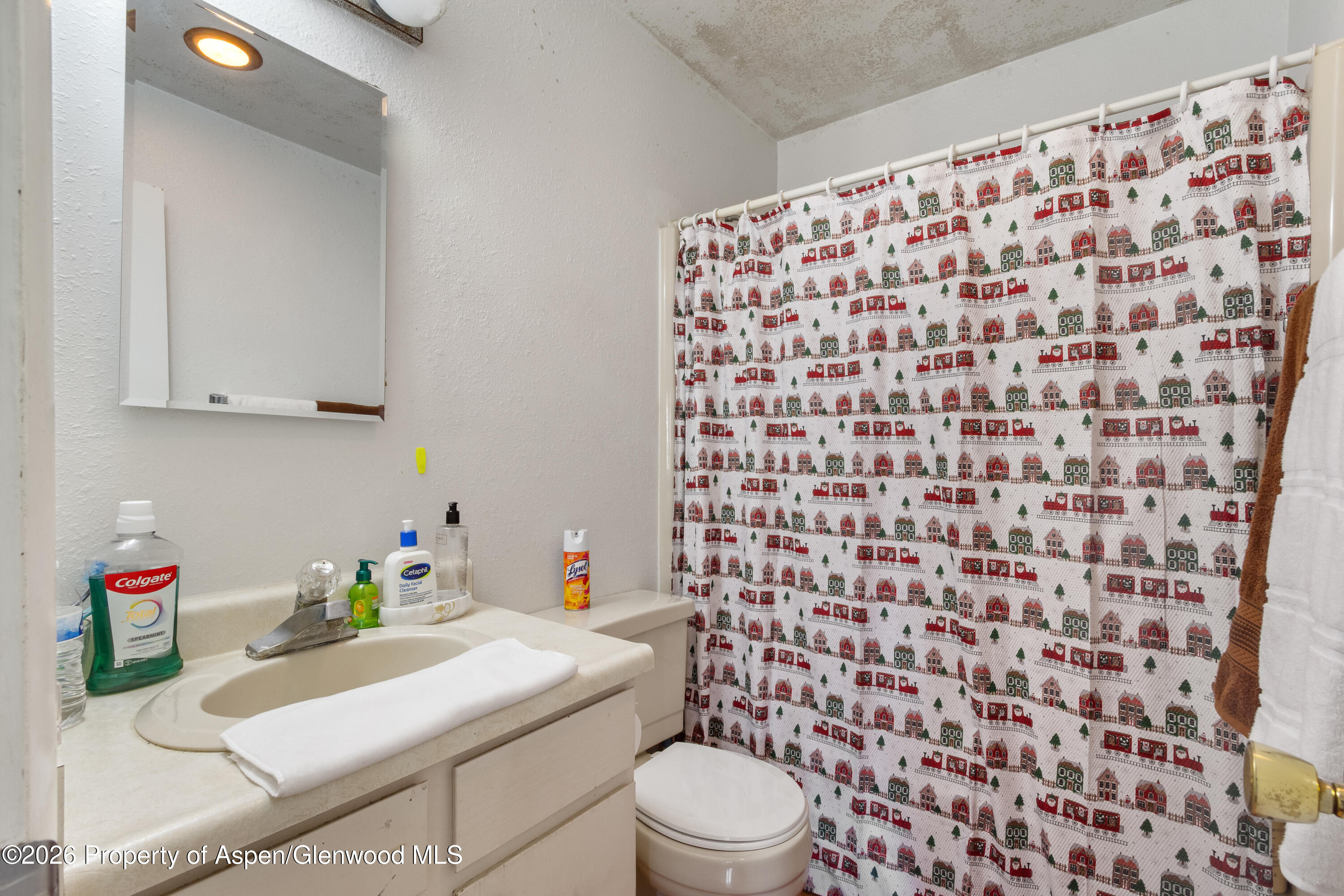 1165 Park Avenue Rifle, CO 81650 - Photo 8 of 22 IMG_3969