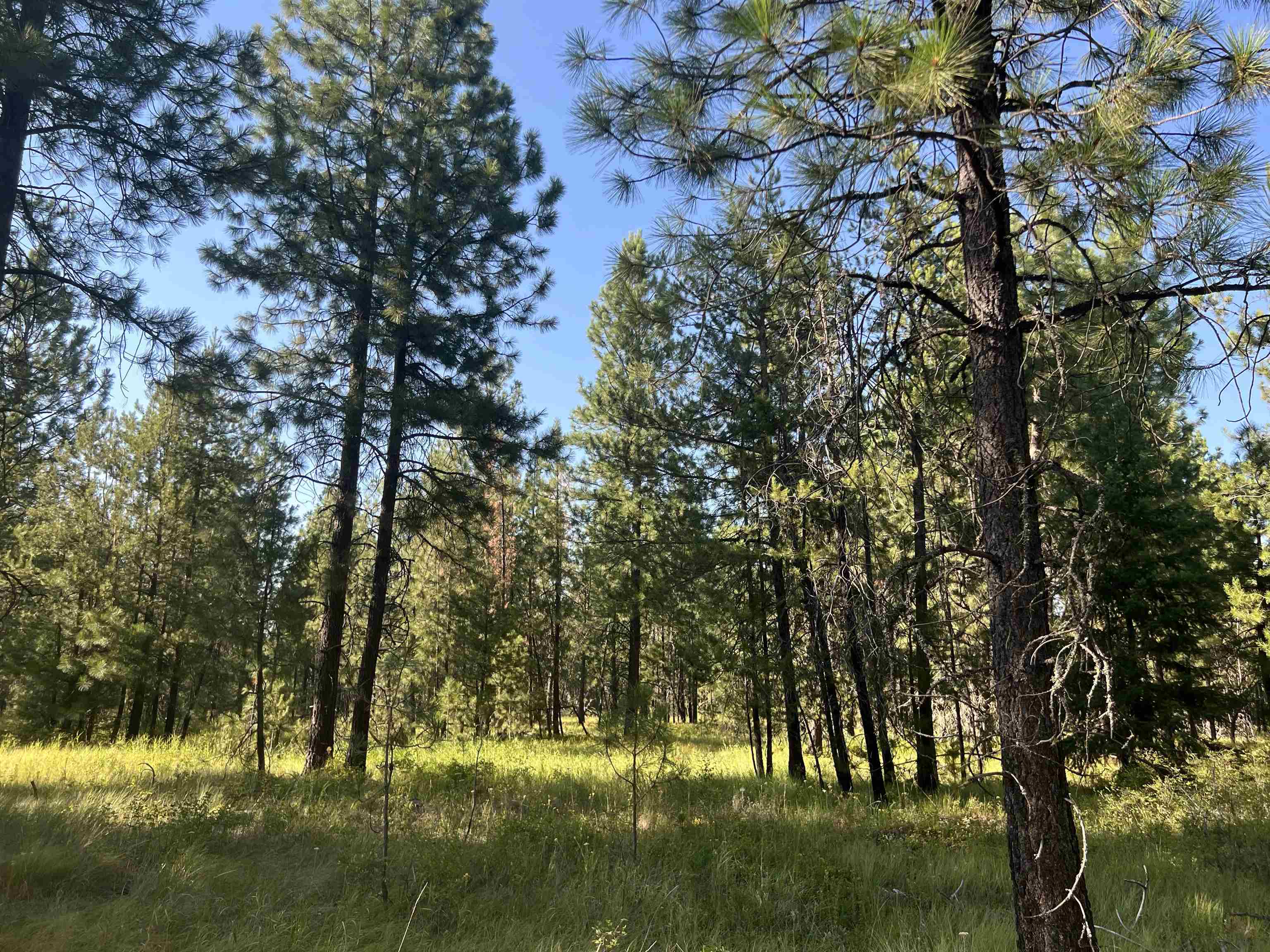 Nka West Findley Lane Unit Lot 6