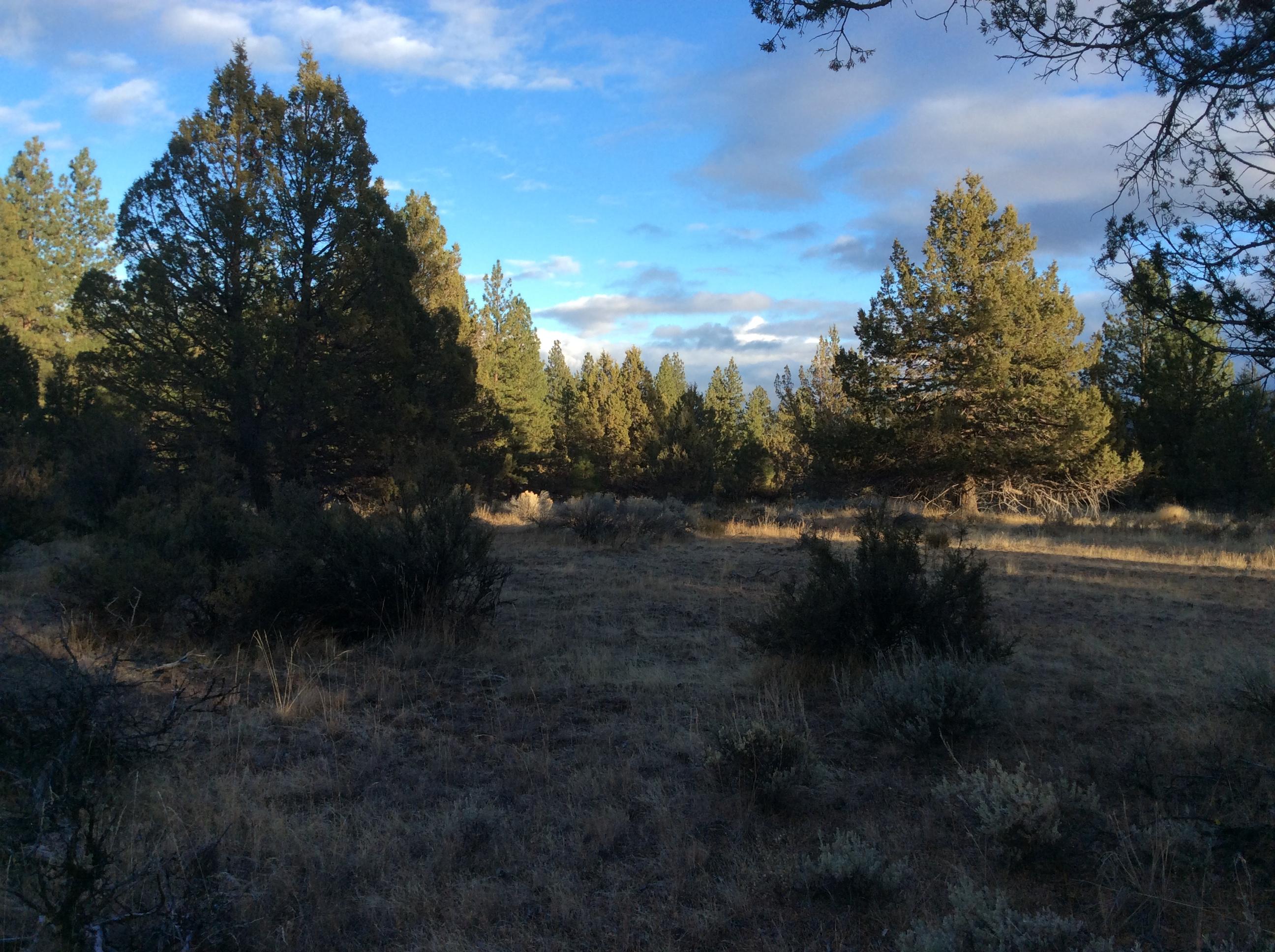 Nka Ferguson Mountain Road Beatty, OR 97621 - Photo 1 of 10 First