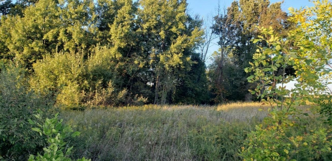Parcel A Van Vleck Road Fenwick, MI 48834 - Photo 1 of 6 thumbnail_20190926_184811