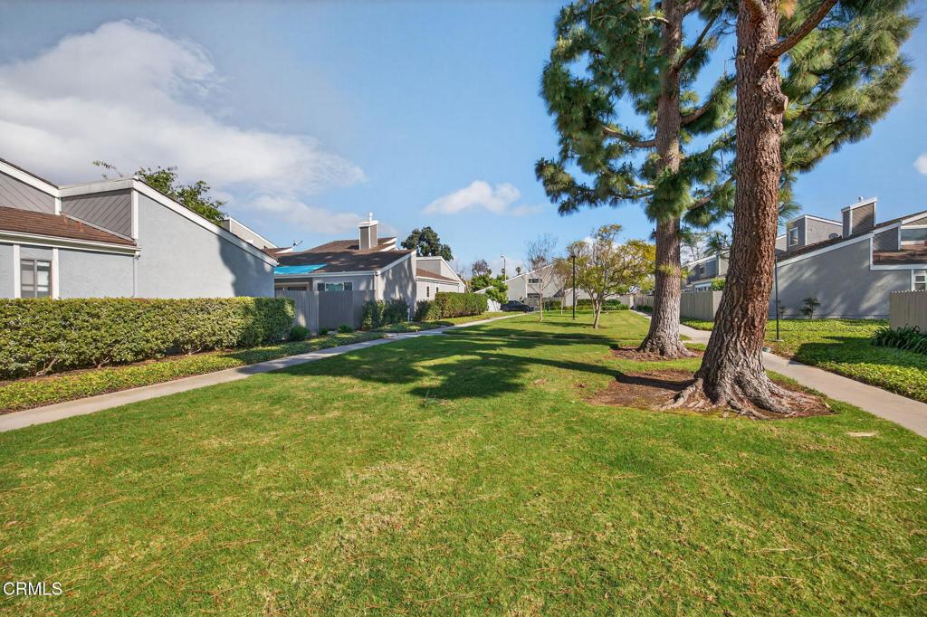 449 Reed Way Port Hueneme, CA 93041 - Photo 35 of 42 a view of a house with a big yard and a large tree
