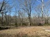 a view of a yard