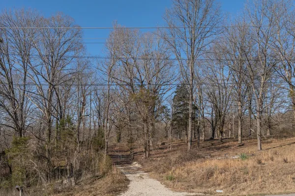 a view of a dry field