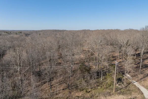 a view of a forest with trees