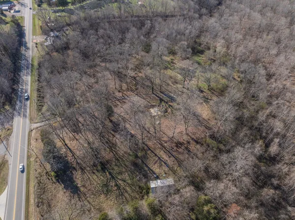 a view of a yard with large trees