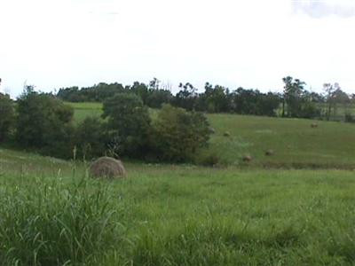 1199 East Union Road Carlisle, KY 40311 - Photo 8 of 13 Photo 8