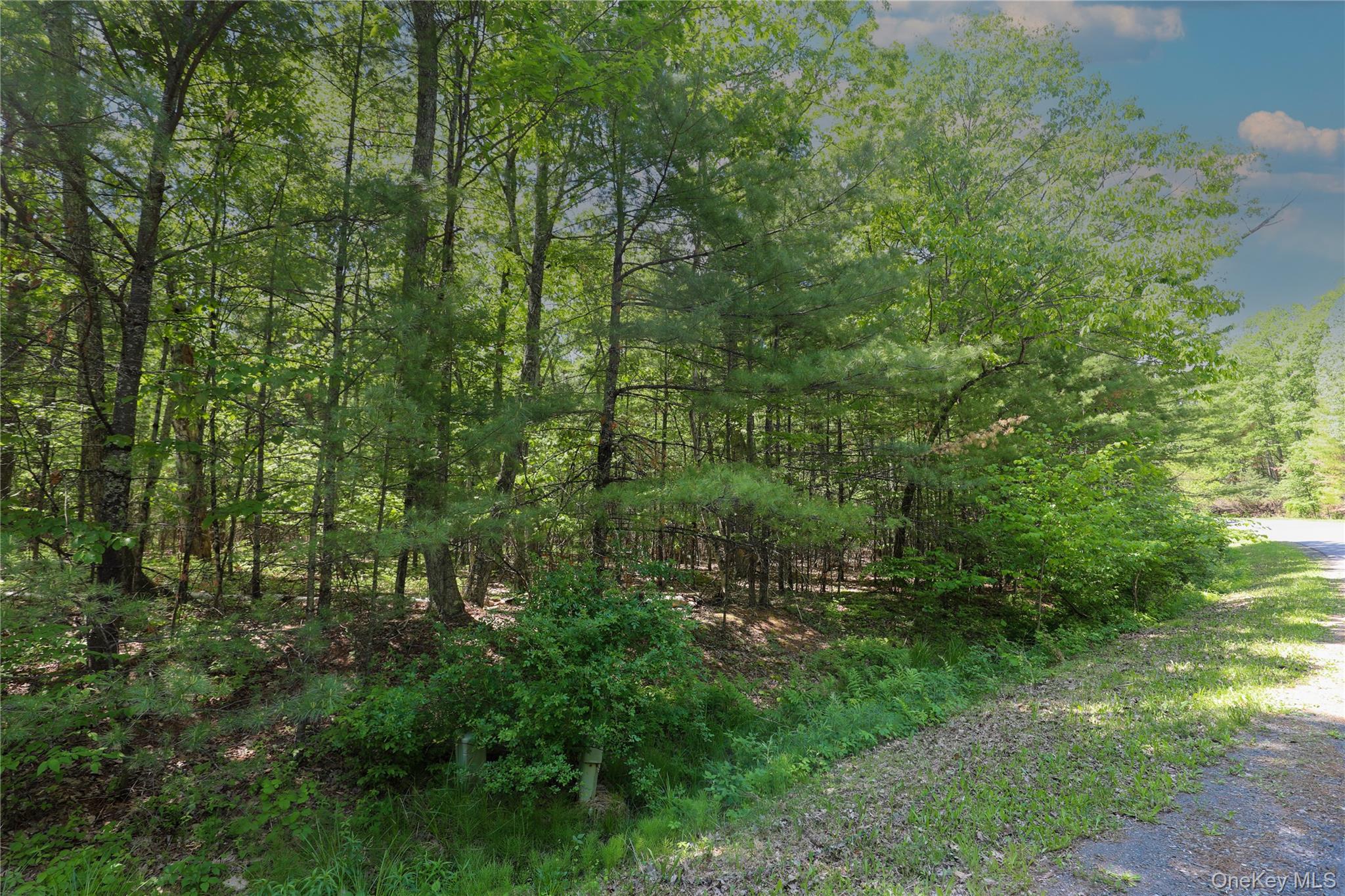 Tbd Bristol Hill Road Hurley, NY 12443 - Photo 4 of 17 a view of outdoor space and trees