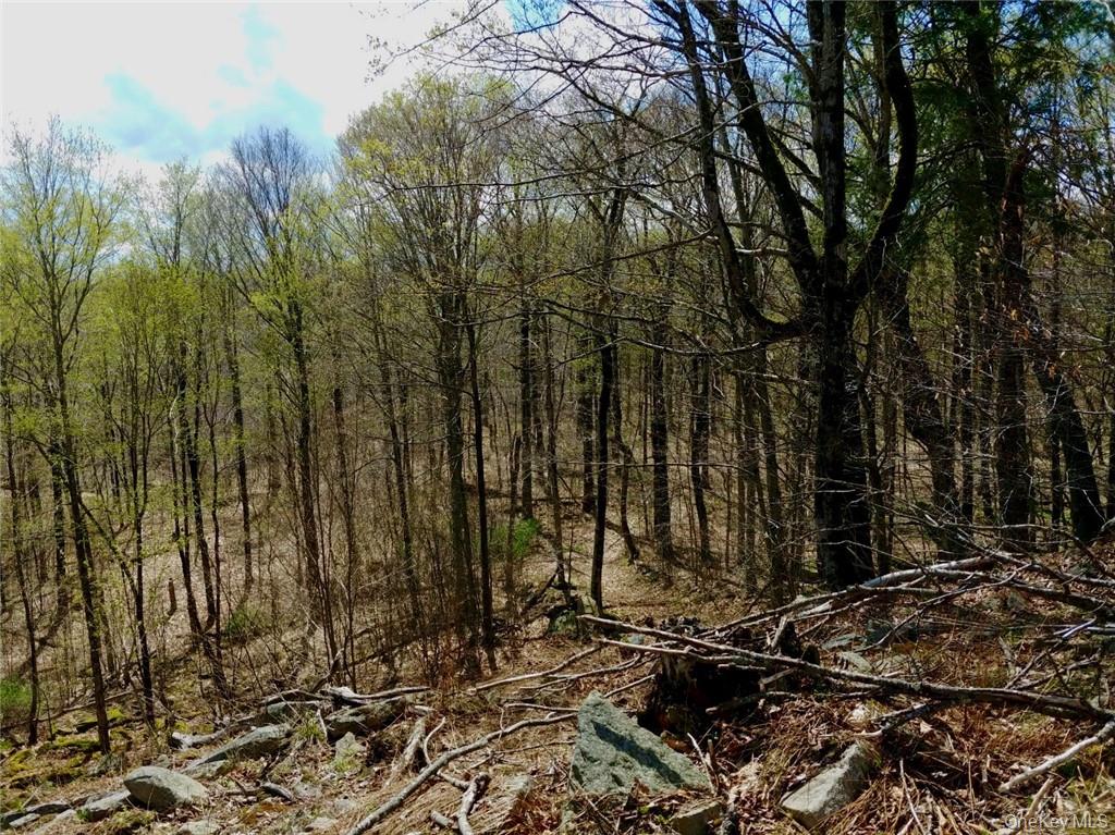 Shandelee Road Livingston Manor, NY 12758 - Photo 2 of 11 a view of a backyard of the house
